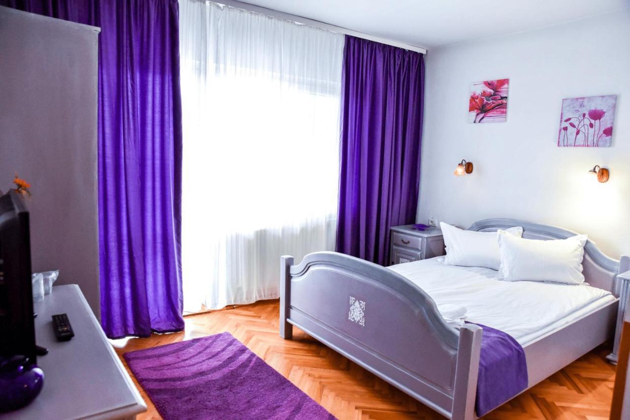 Pensiunea Vila Silva I Haţeg Esterno foto