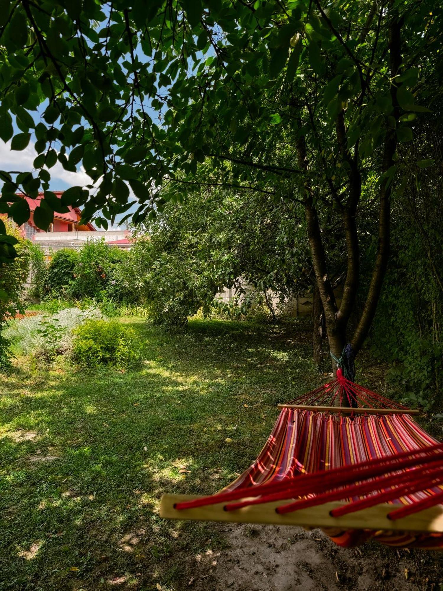 Pensiunea Vila Silva I Haţeg Esterno foto