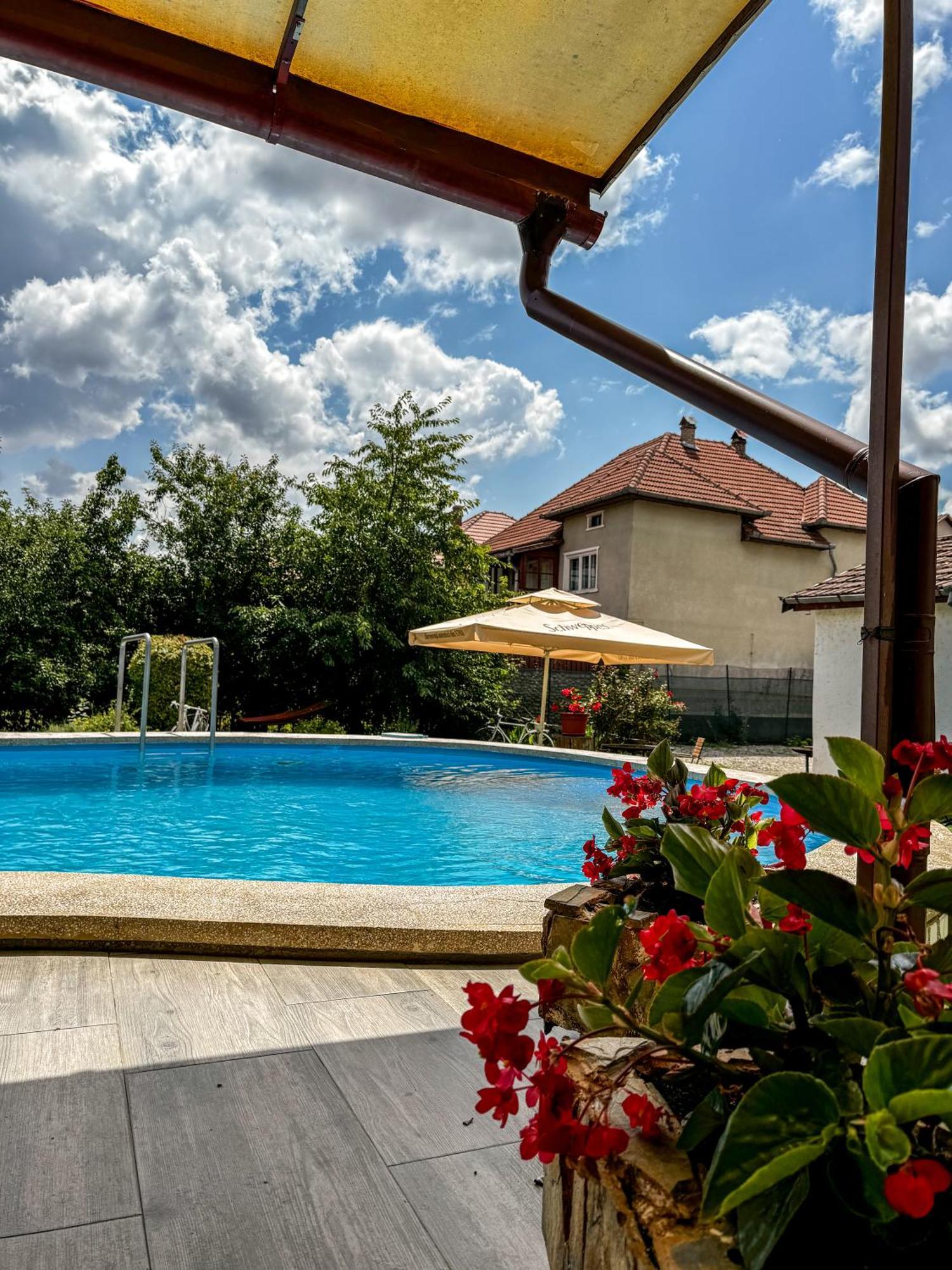 Pensiunea Vila Silva I Haţeg Esterno foto