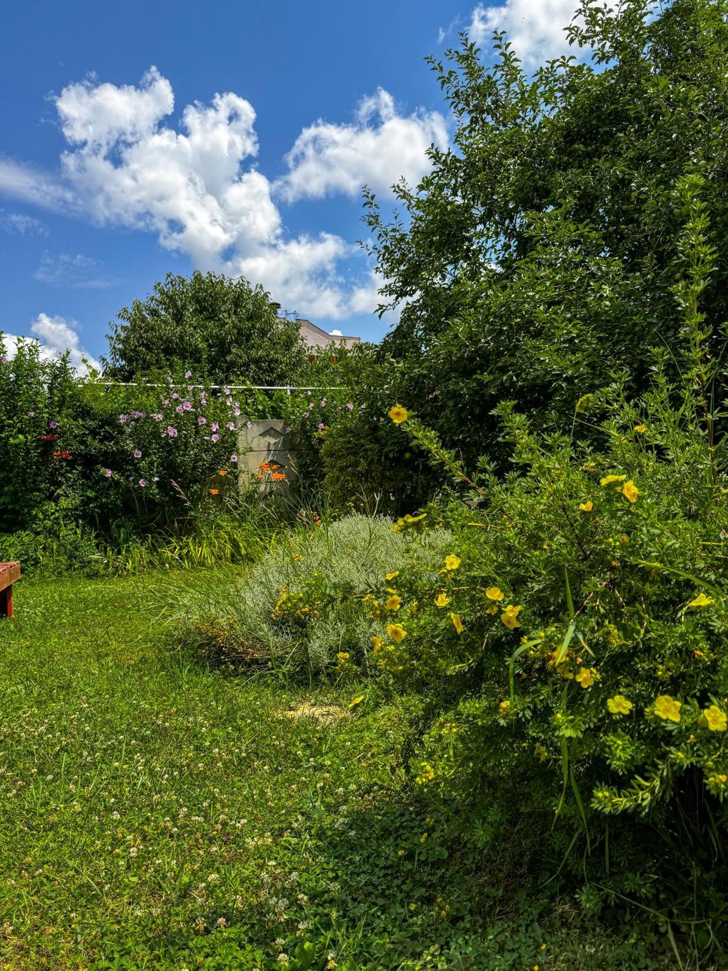 Pensiunea Vila Silva I Haţeg Esterno foto